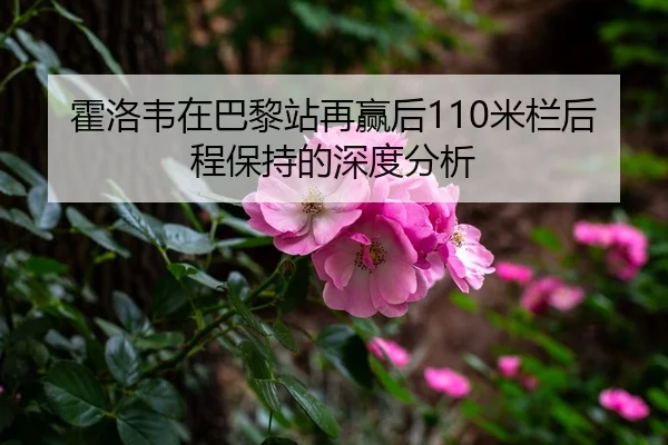 霍洛韦在巴黎站再赢后110米栏后程保持的深度分析