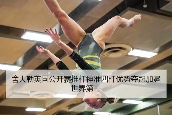 she-fu-lei-ying-guo-gong-kai-sai-tui-gan-shen-zhun-si-gan-you-shi-duo-guan-jia-mian-shi-jie-di-yi-3-492.jpg