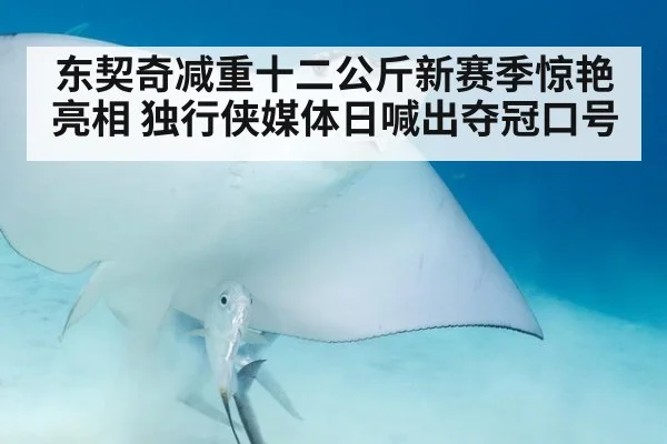 东契奇减重十二公斤新赛季惊艳亮相 独行侠媒体日喊出夺冠口号